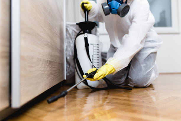 Pest Control for Restaurants in Berea, OH