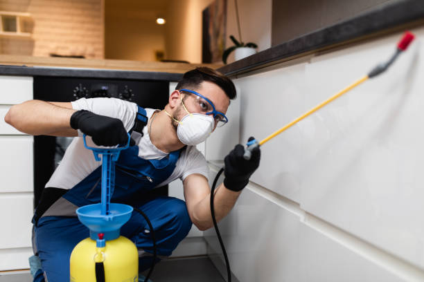 Best Mosquito Control Services  in Berea, OH