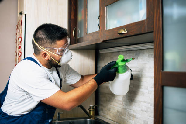 Best Residential Pest Control  in Berea, OH