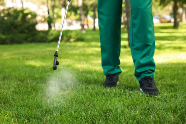 Best Affordable Pest Control Services  in Berea, OH