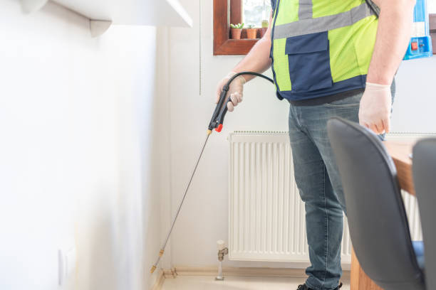 Best Local Pest Control Services  in Berea, OH