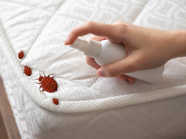 Best Commercial Pest Control Services  in Berea, OH