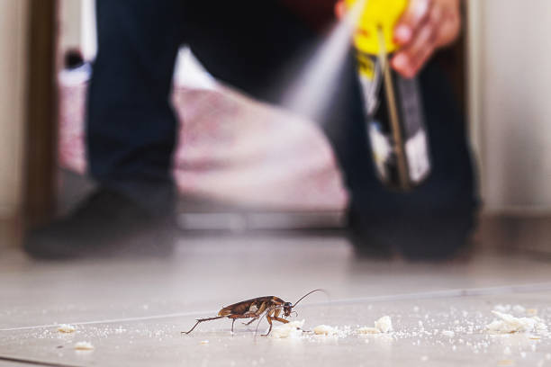 Trusted Berea, OH Pest Control Experts