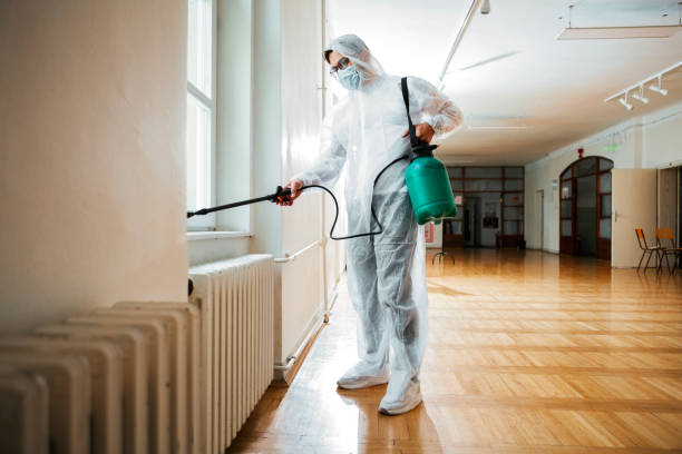 Best Wasp Removal Services  in Berea, OH