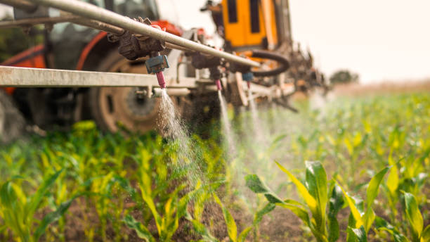Best Commercial Pest Control Services  in Berea, OH